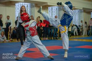 У Кам`янському відбувся чемпіонат області з тхеквондо